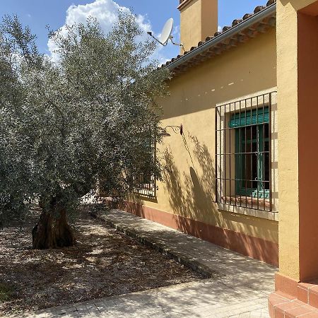 El Bauzal De Trujillo Villa Eksteriør bilde